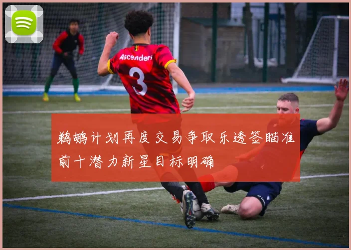 鹈鹕计划再度交易争取乐透签瞄准前十潜力新星目标明确