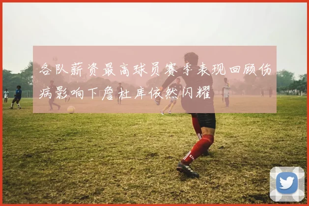 各队薪资最高球员赛季表现回顾伤病影响下詹杜库依然闪耀