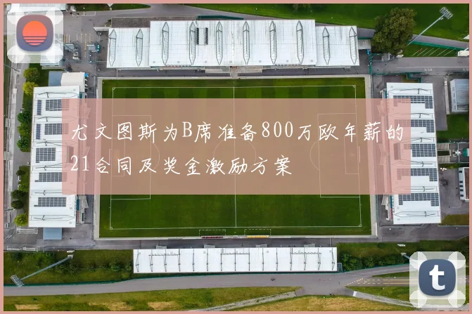 尤文图斯为B席准备800万欧年薪的21合同及奖金激励方案